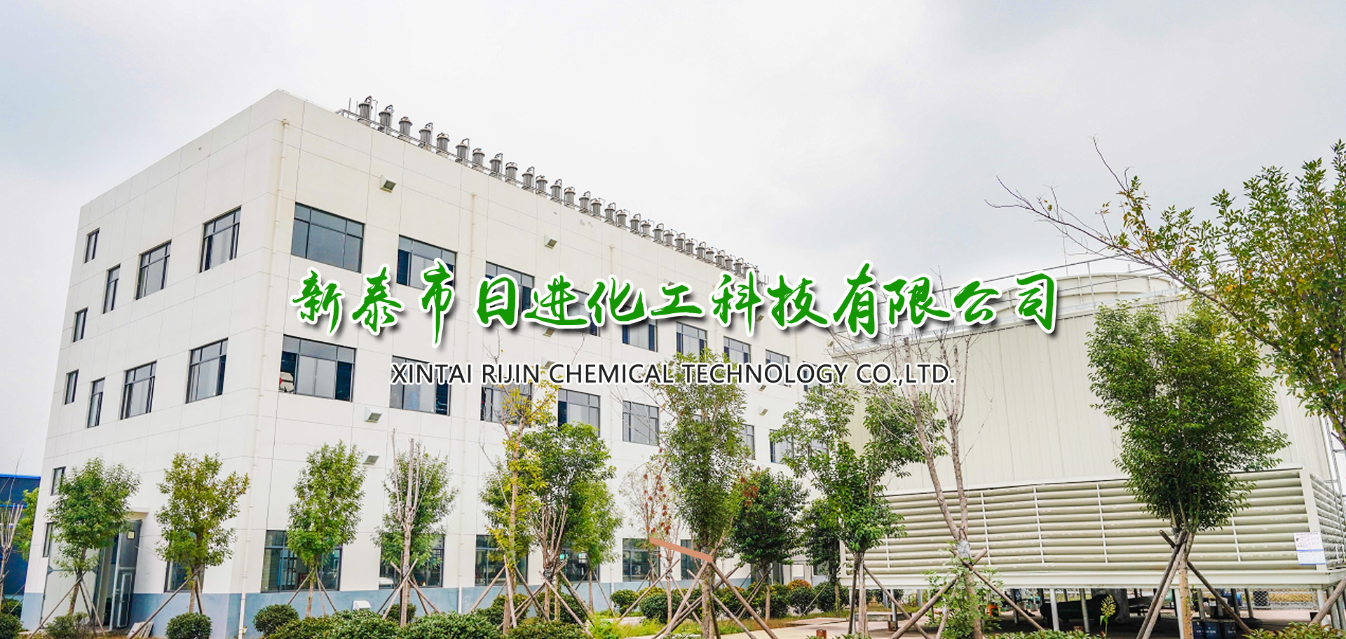 山東岱新起重機(jī)械有限公司 